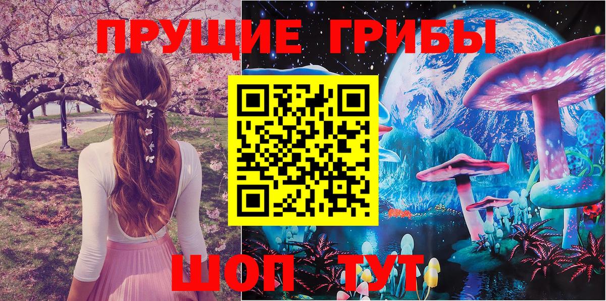 дарнет шоп  Вход с VPN  Урус-Мартан  Галлюциногенные грибы MAGIC MUSHROOMS 